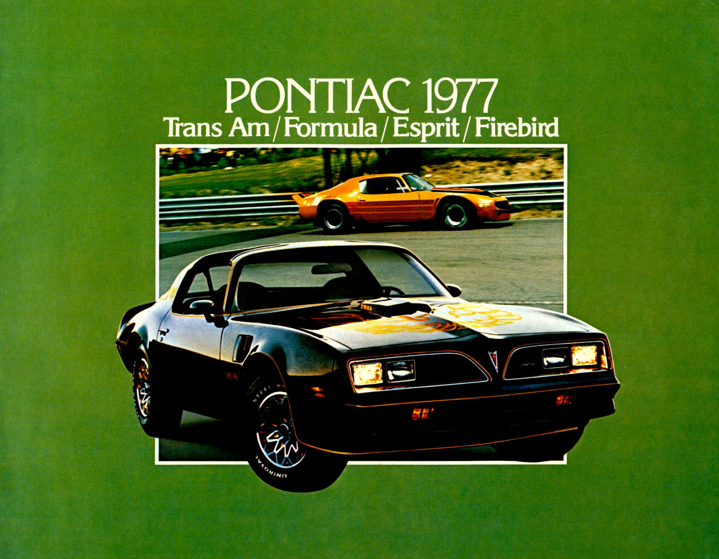 n_1977 Pontiac Firebird (Cdn)-01.jpg